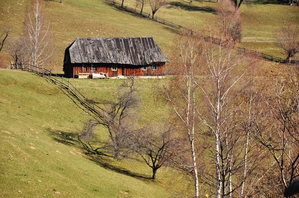Samedru Hotel Magura  Kültér fotó