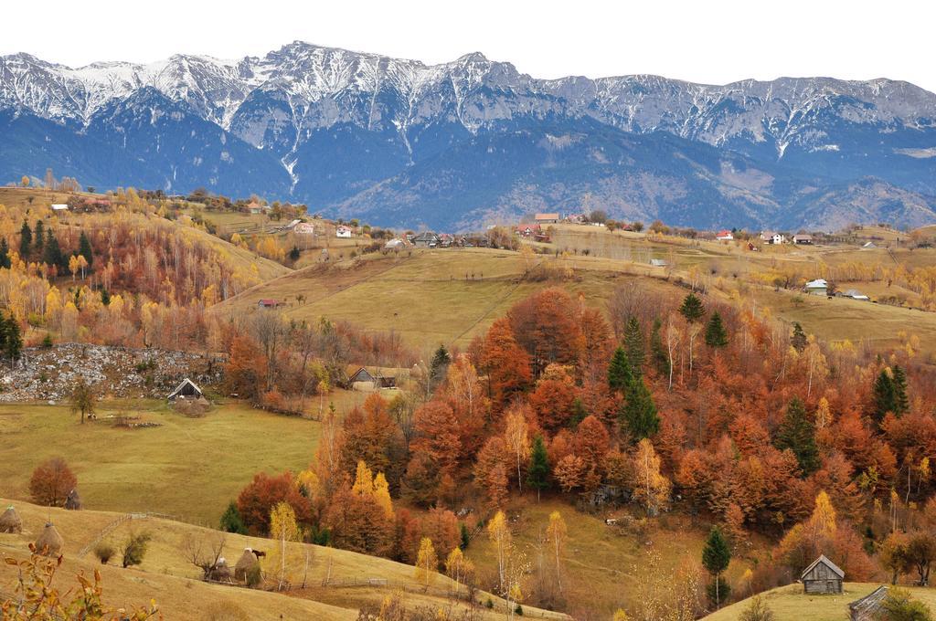 Samedru Hotel Magura  Kültér fotó